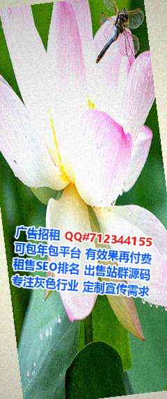 老挝孕母企业管理有限公司